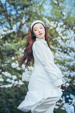 阿蛮